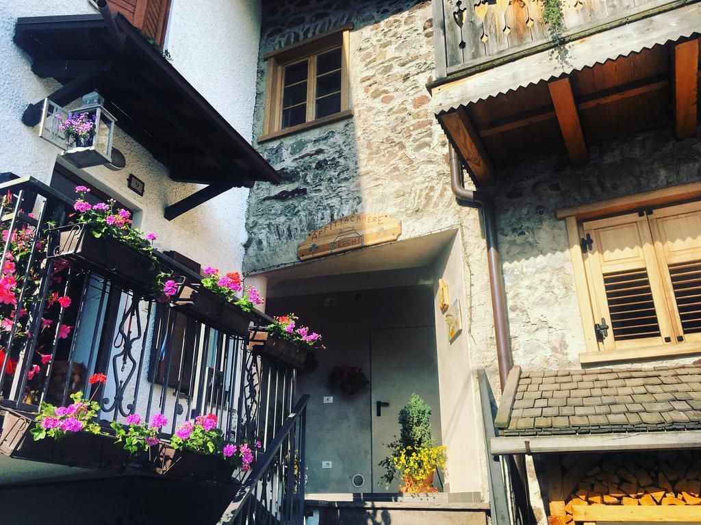 Affittacamere Ceschi Baselga di Pine Bagian luar foto